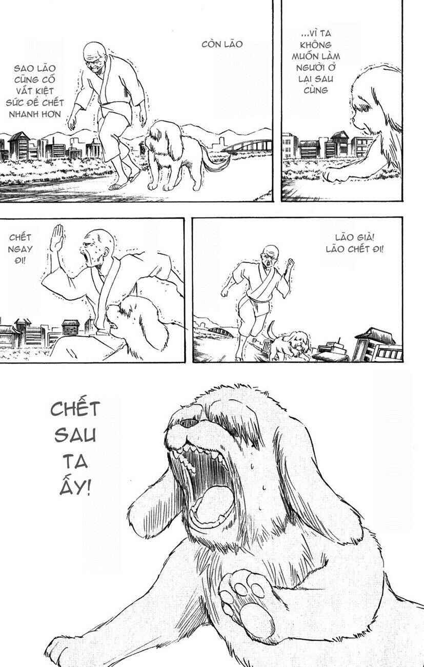 Trang 19