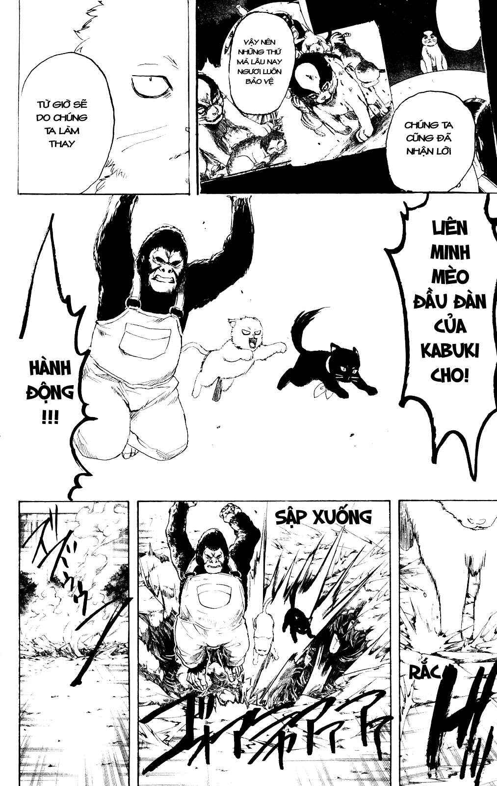 Trang 7