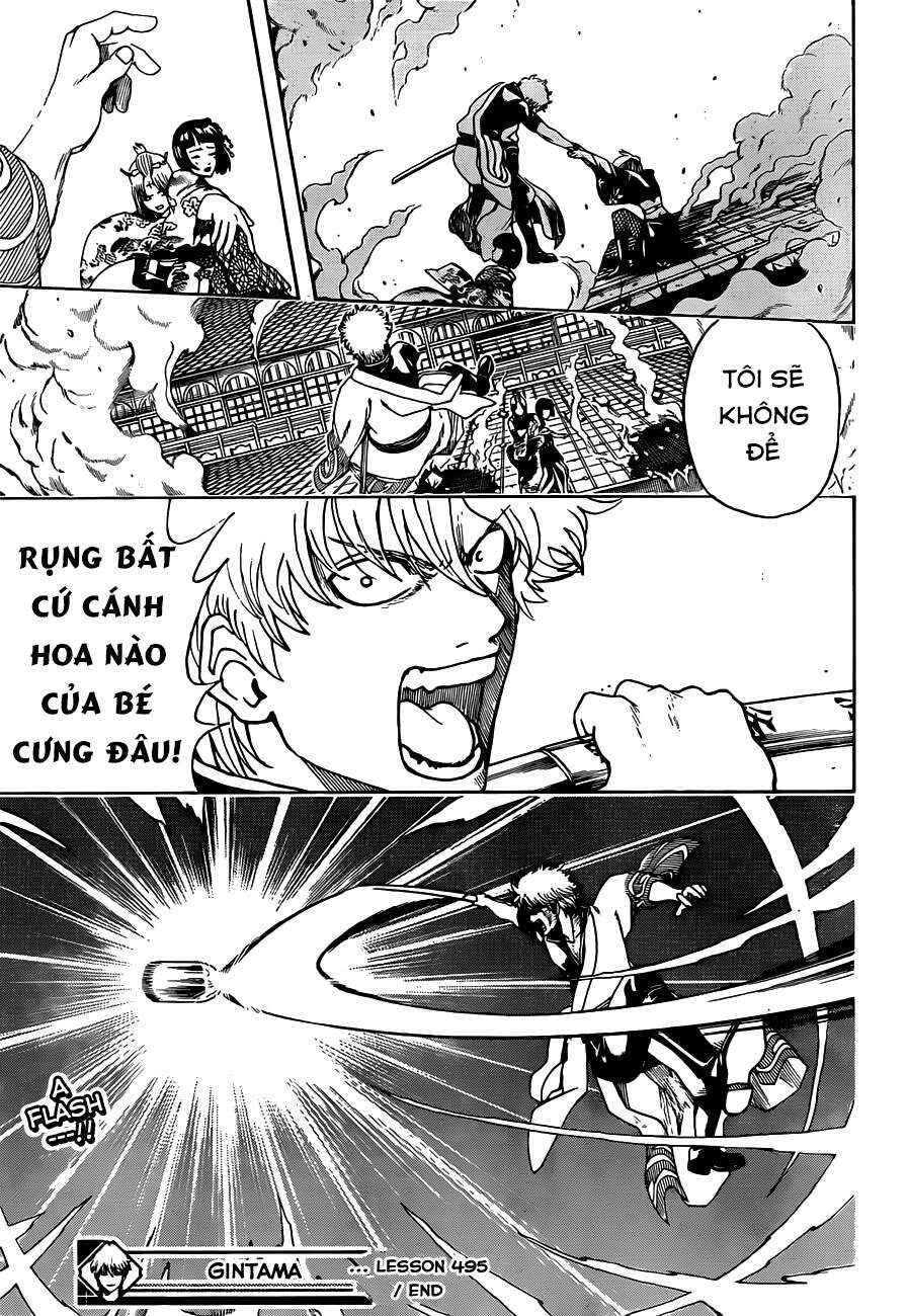 Trang 17