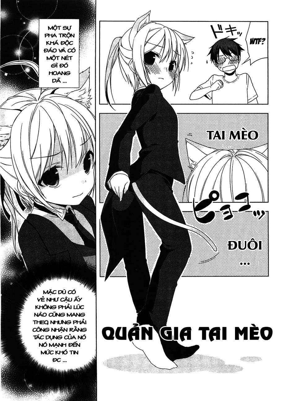 Trang 16