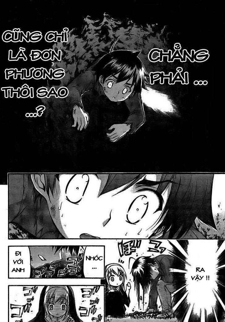 Trang 19