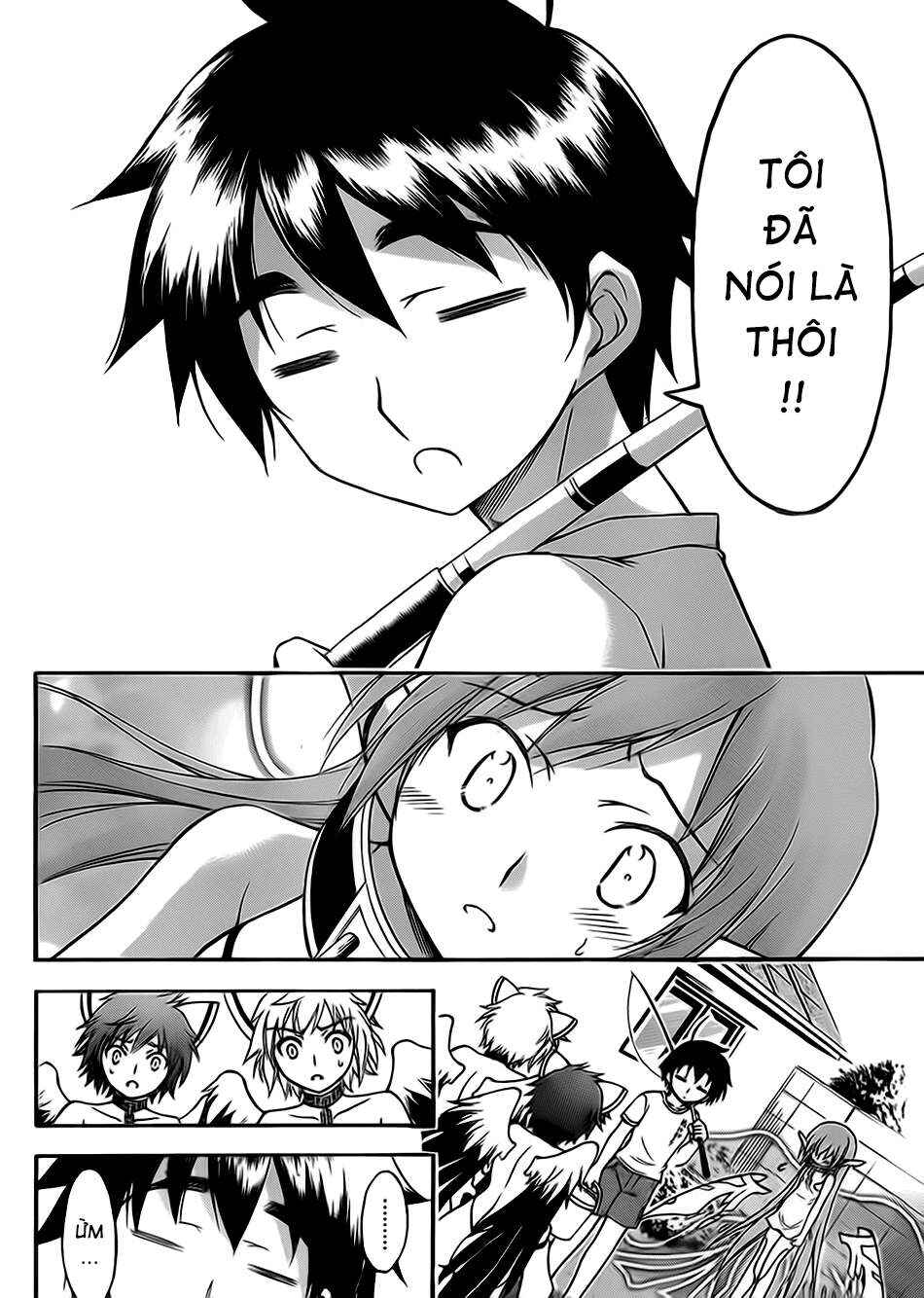 Trang 13